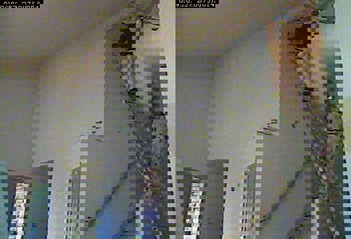 new view paint